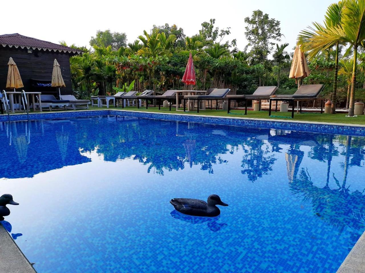 Go Green Spice&Eco Resort Cavelossim Exterior foto